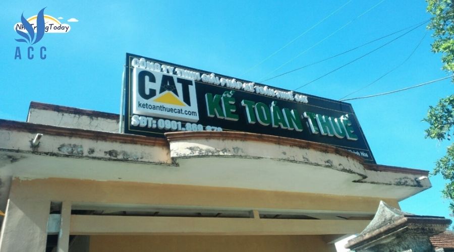 Công ty TNHH Giải pháp Kế toán CAT