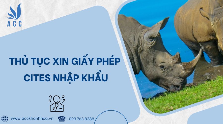 Thủ tục xin giấy phép cites nhập khẩu