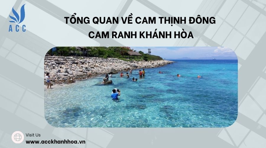 Tổng quan về Cam Thịnh Đông Cam Ranh Khánh Hòa