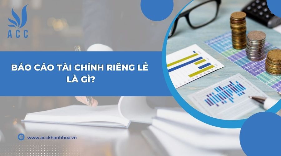 Báo cáo tài chính riêng lẻ là gì?