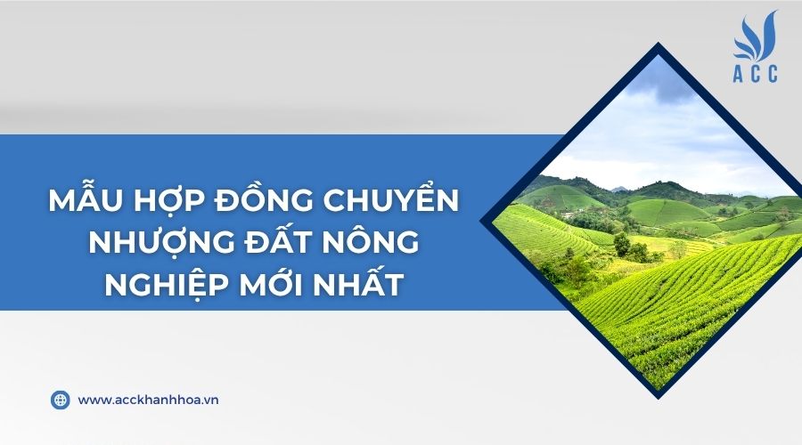 Mẫu hợp đồng chuyển nhượng đất nông nghiệp mới nhất