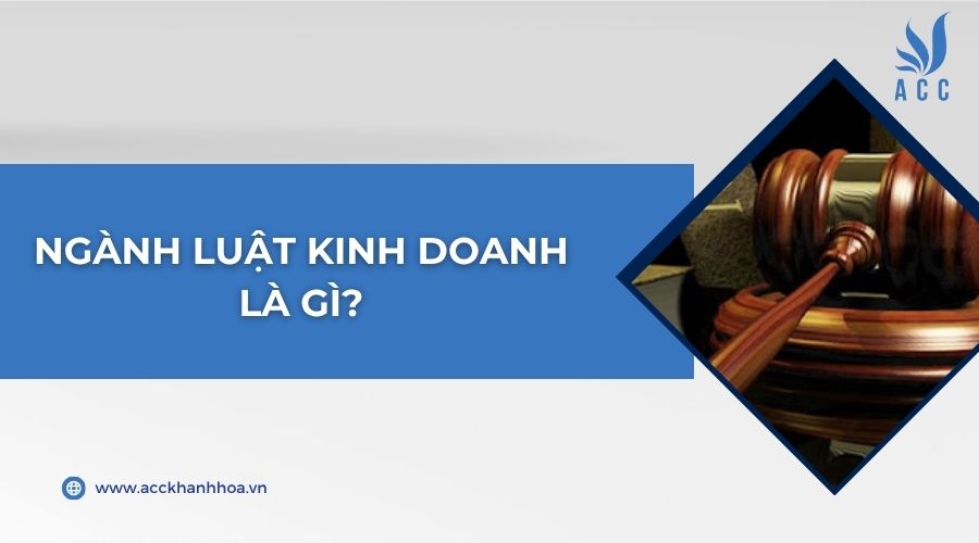Ngành luật kinh doanh là gì?