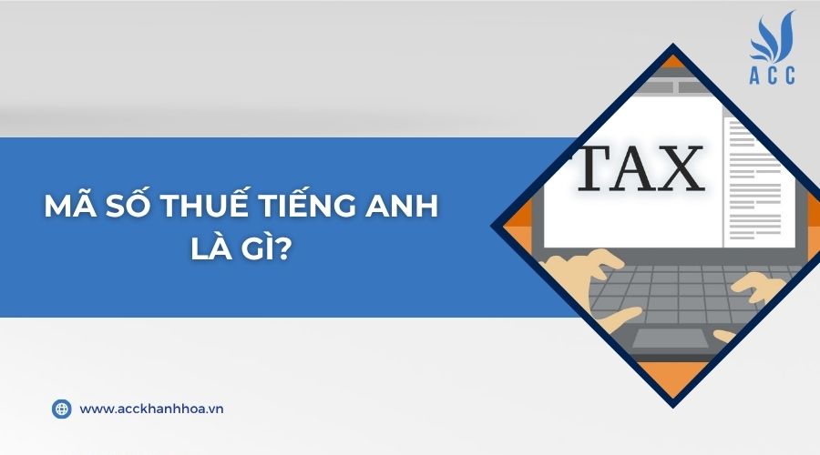 Mã số thuế tiếng Anh là gì?