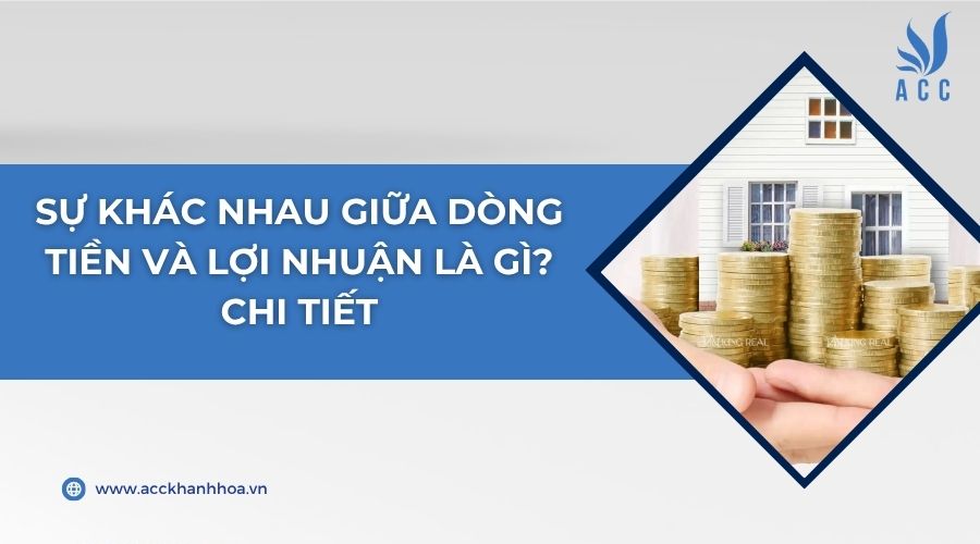 Sự khác nhau giữa dòng tiền và lợi nhuận là gì? Chi tiết