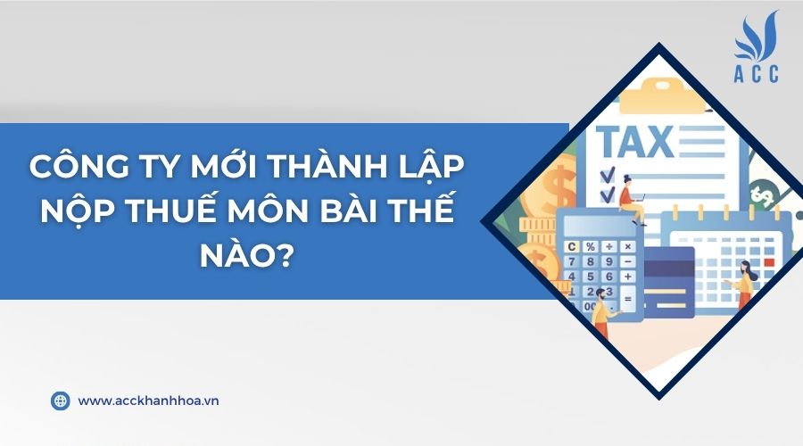 Công ty mới thành lập nộp thuế môn bài thế nào?