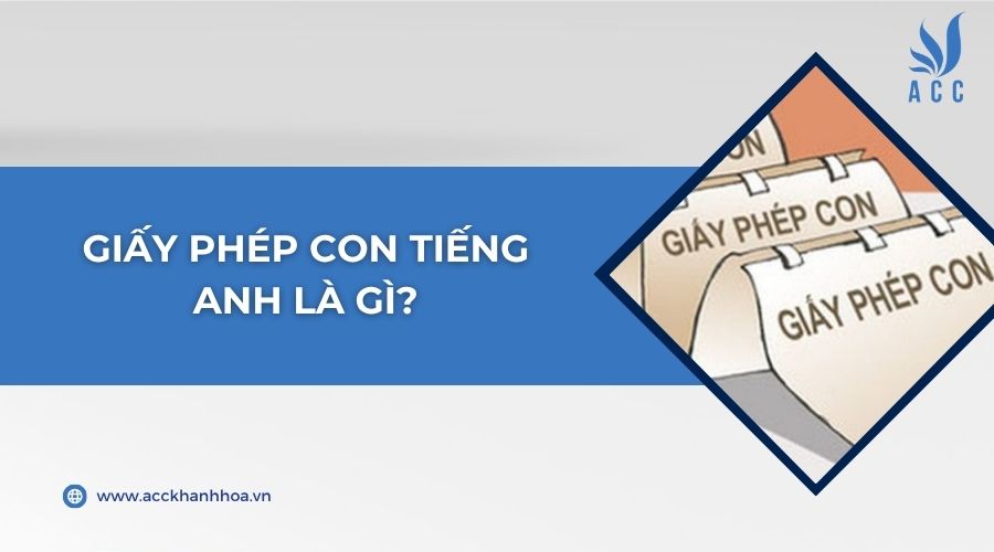 Giấy phép con tiếng Anh là gì?