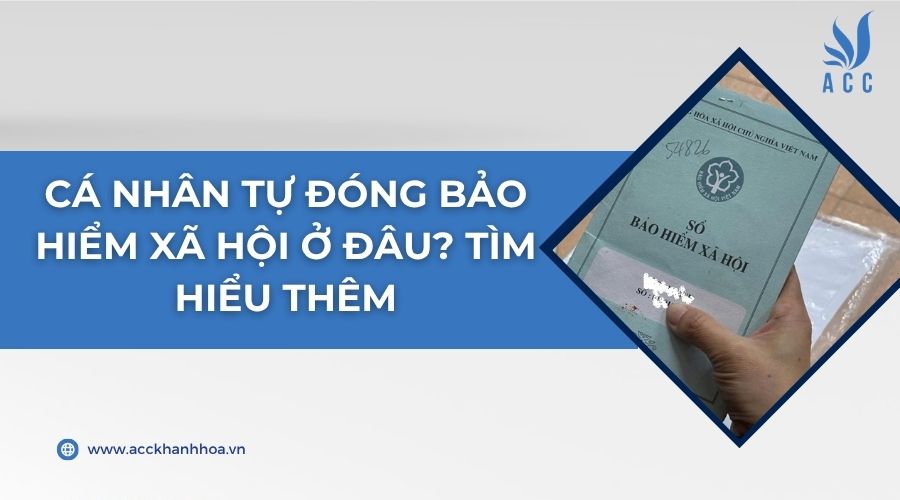 Cá nhân tự đóng bảo hiểm xã hội ở đâu? Tìm hiểu thêm