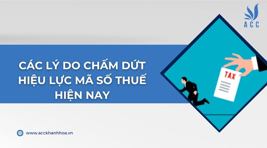 Các lý do chấm dứt hiệu lực mã số thuế hiện nay