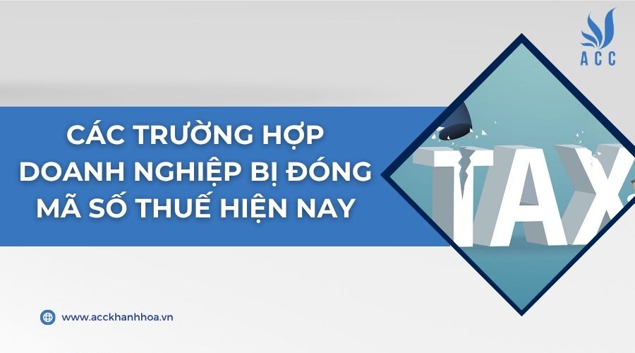 Các trường hợp doanh nghiệp bị đóng mã số thuế hiện nay