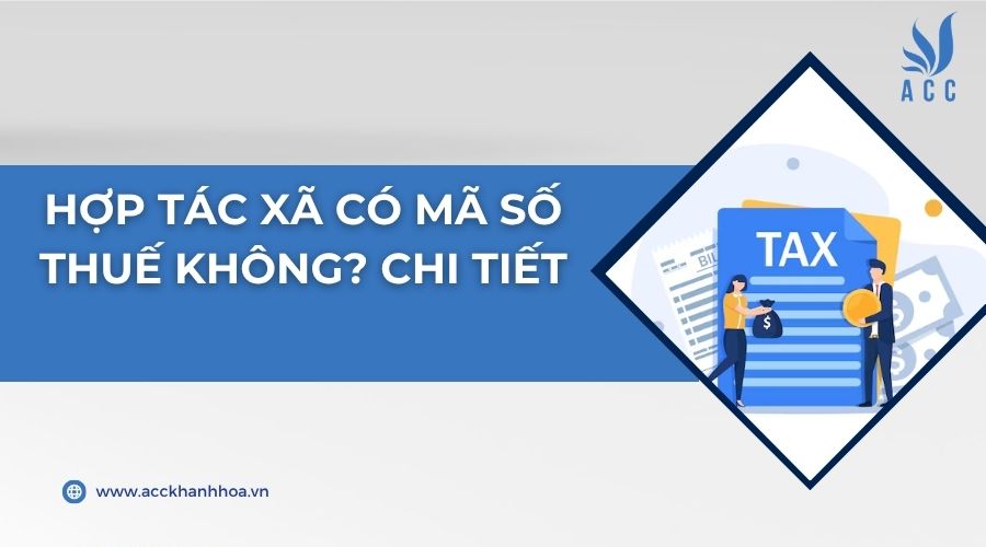 Hợp tác xã có mã số thuế không? Chi tiết