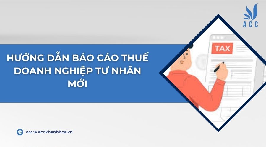 Hướng dẫn báo cáo thuế doanh nghiệp tư nhân mới