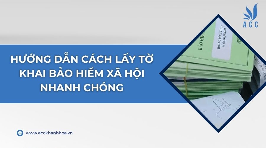 Hướng dẫn cách lấy tờ khai bảo hiểm xã hội nhanh chóng