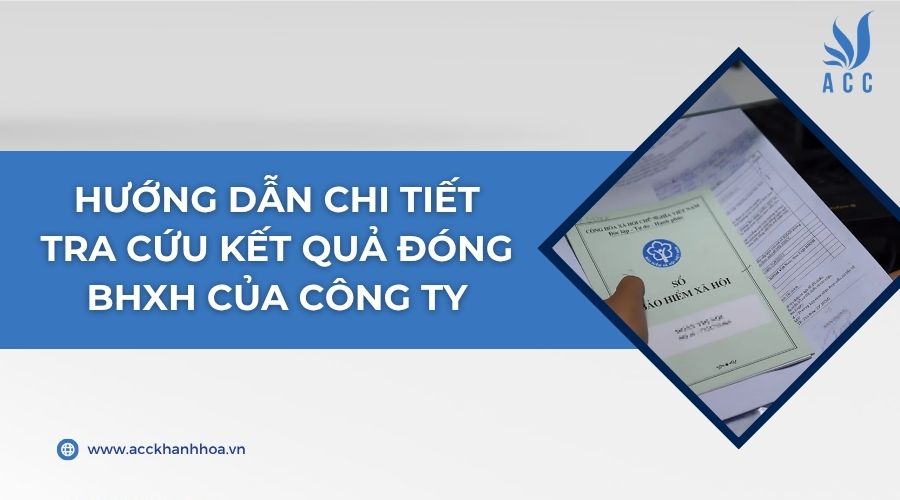 Hướng dẫn chi tiết tra cứu kết quả đóng BHXH của công ty