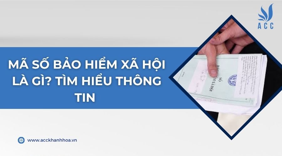 Mã số bảo hiểm xã hội là gì? Tìm hiểu thông tin 