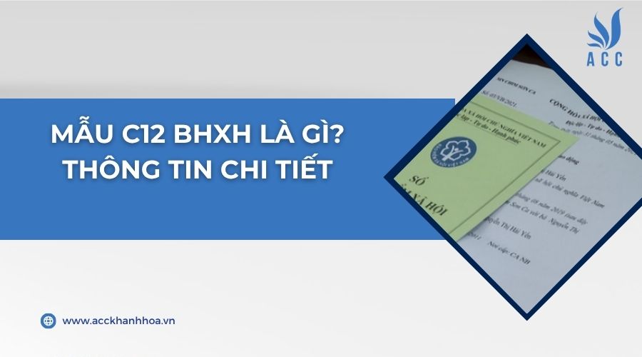 Mẫu C12 BHXH là gì? Thông tin chi tiết