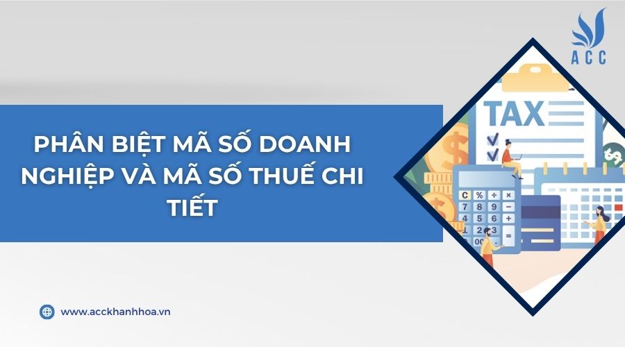 Phân biệt mã số doanh nghiệp và mã số thuế chi tiết